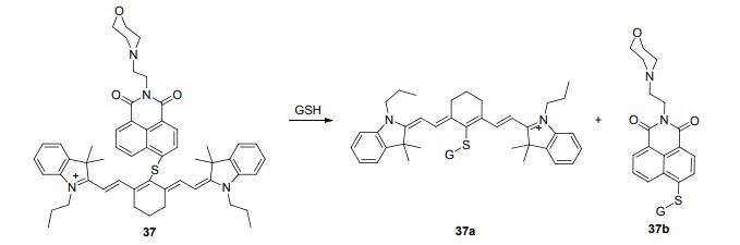 N-(2-氨乙基)吗啉合成荧光探针-5.jpg