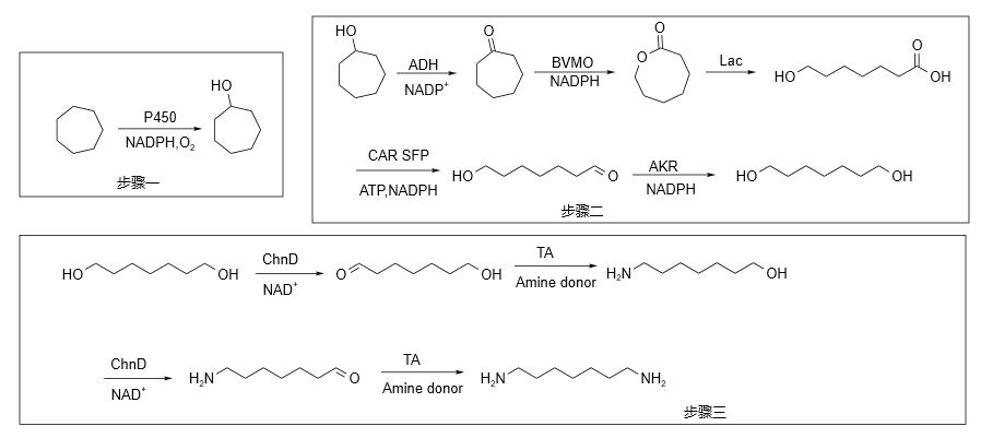 1,7-二氨基庚烷合成路线
