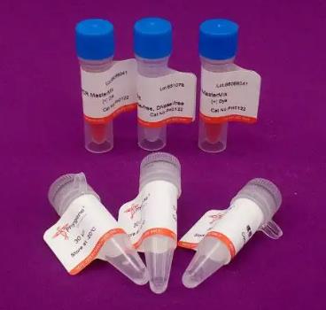 变形丝囊霉菌PCR试剂盒的应用