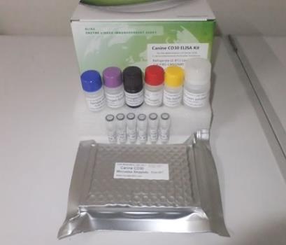 鸡贫血病毒PCR试剂盒的应用