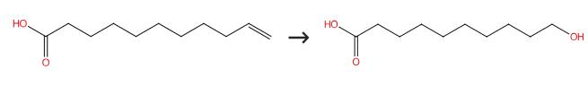 图1 10-羟基癸酸的合成路线