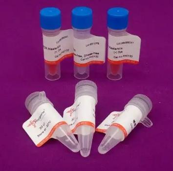 兽疫链球菌PCR试剂盒的应用