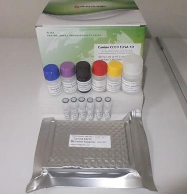 腐败希瓦菌PCR试剂盒.png