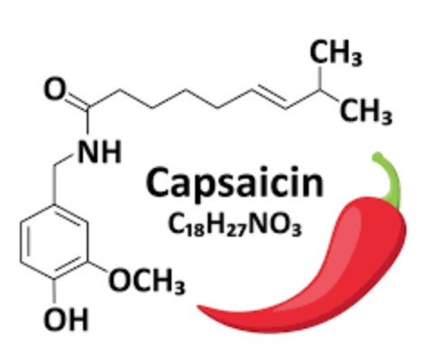 Capsaicin