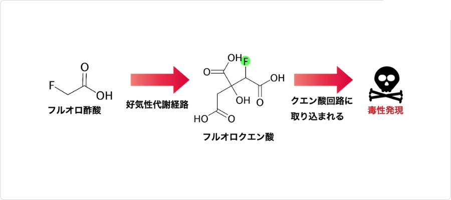 説明図