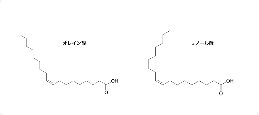 説明図