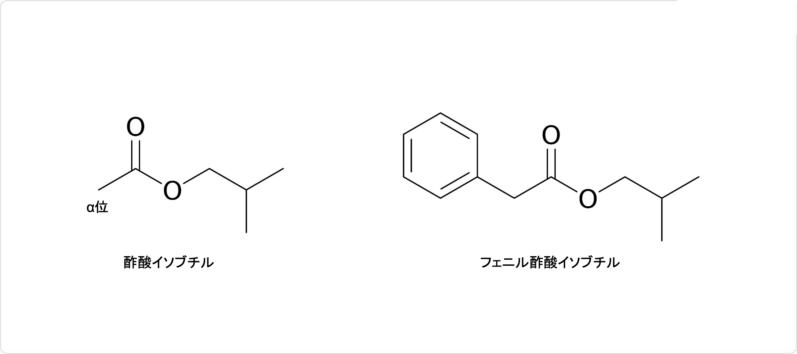 説明図