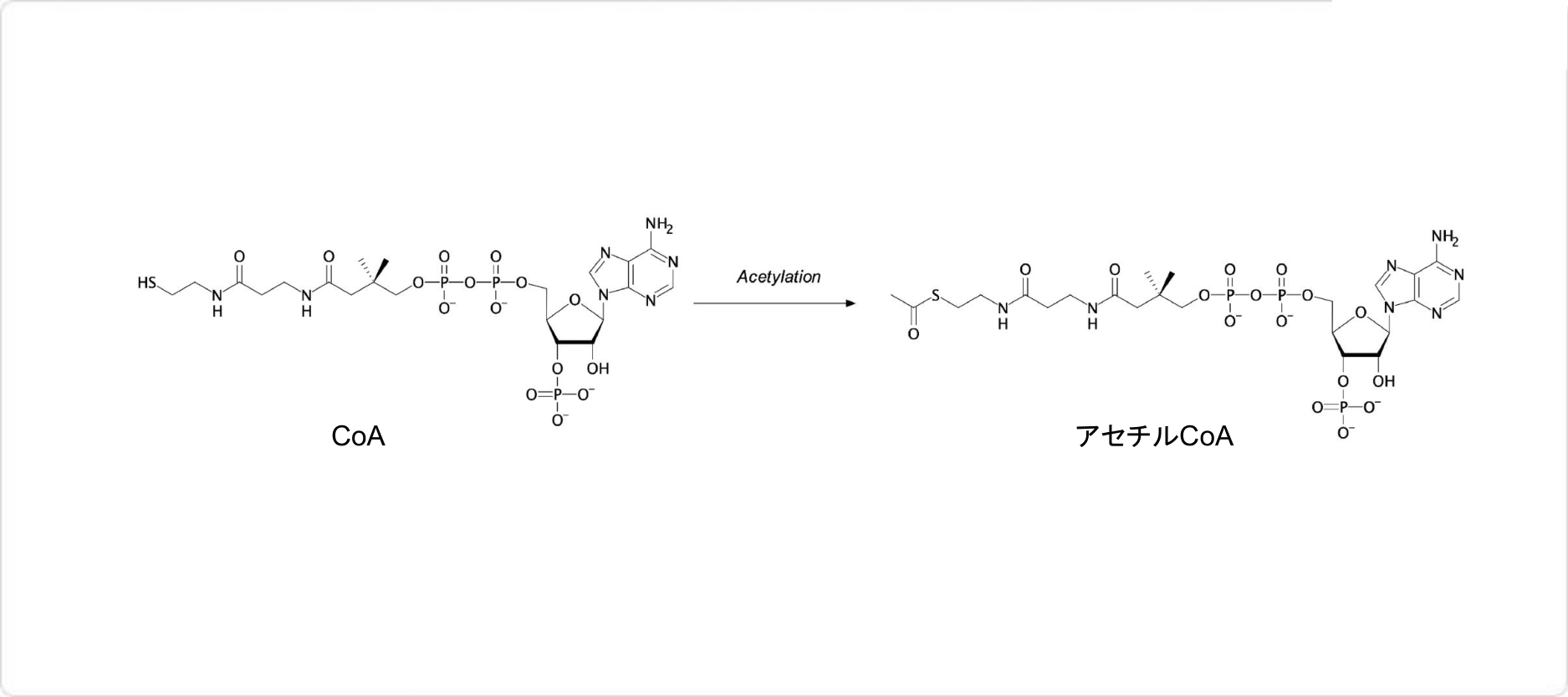 説明図