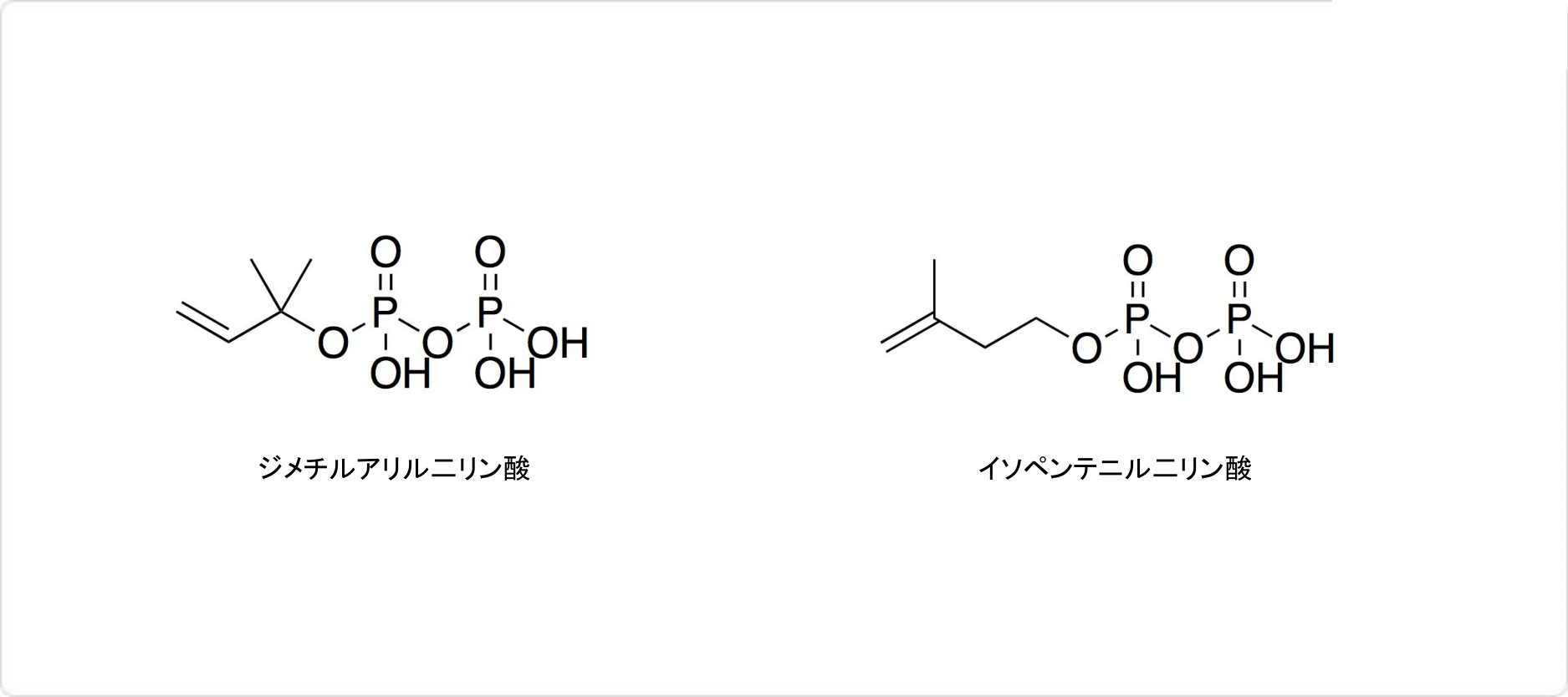 説明図