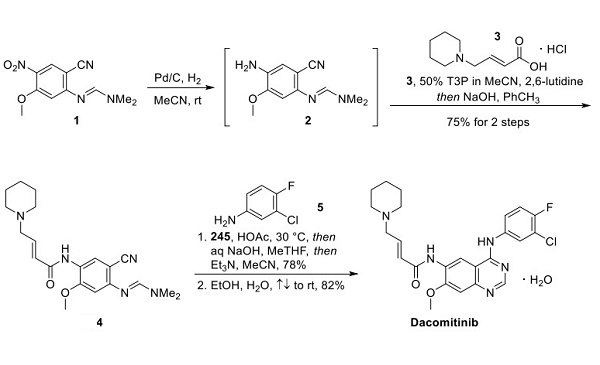 Dacomitinib (PF299804)