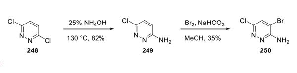 Preparation of Ensartinib Amino Pyridazine