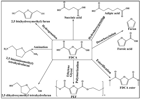 2,5-Furandicarboxylic acid