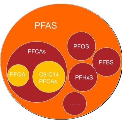 PFAS的分类