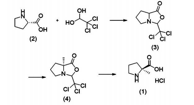 (S)-2-甲基脯氨酸盐酸盐合成路线
