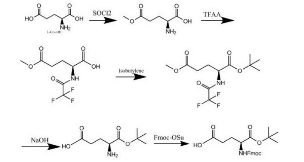芴甲氧羰基-L-谷氨酸 1-叔丁酯的合成路线