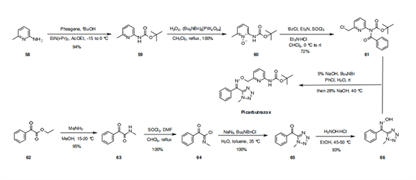 picarbutrazox synthesis