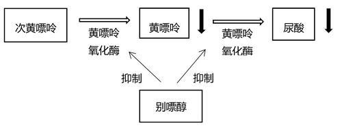 别嘌醇