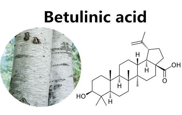 白桦脂酸的结构式和作用功效