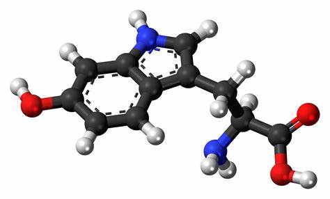 5-羟基-L-色氨酸