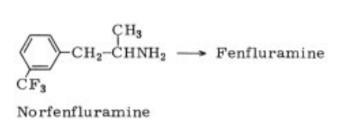 Synthesis_458-24-2