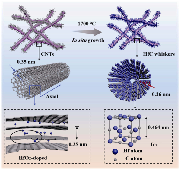 Schematic diagram of the growth of HfC whiskers