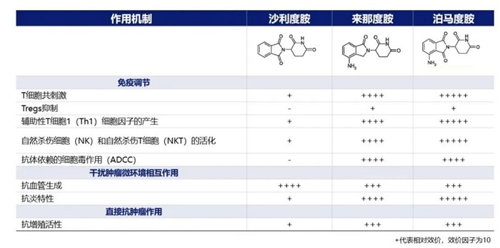 表1 IMiDs的主要作用机制总结