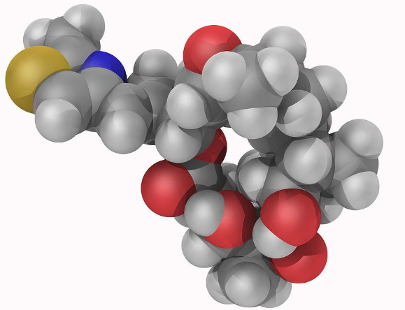 Epothilone B