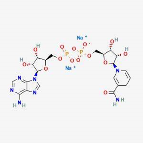 NADH, disodium salt