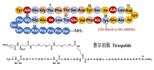 替尔泊肽 分子结构