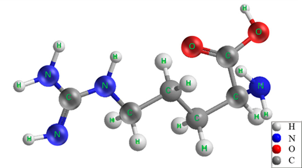 L( )-Arginine