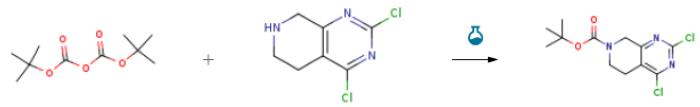 2,4-二氯-5,6-二氢吡啶并[3,4-D]嘧啶-7(8H)-甲酸叔丁酯的合成.png