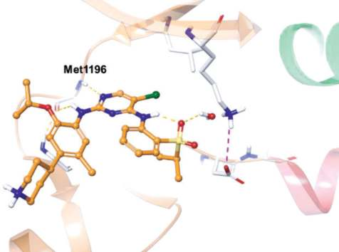 Figure 3. Co-crystal structure of ceritinib in complex  with ALK (PDB ID: 4MKC).