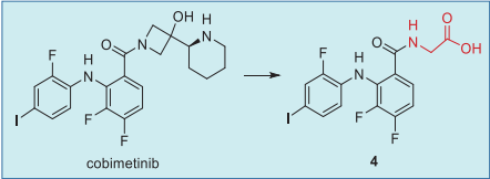 Figure 4. Major metabolic pathway of cobimetinib in  humans.