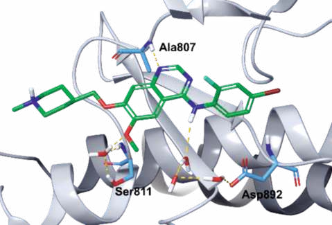 Figure 2. Co-crystal structure of vandetanib with RET  (PDB ID: 2IVU).