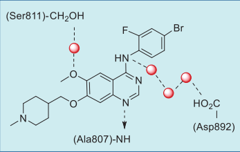 Figure 3.Summary of vandetanib-RET interactions based on their co-crystal structure.