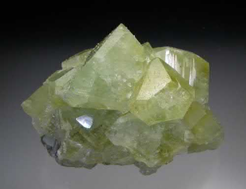 FIGURE 5. Datolite, CaB(SiO4)(OH), lime green, glassy crystals to 2.3 cm.