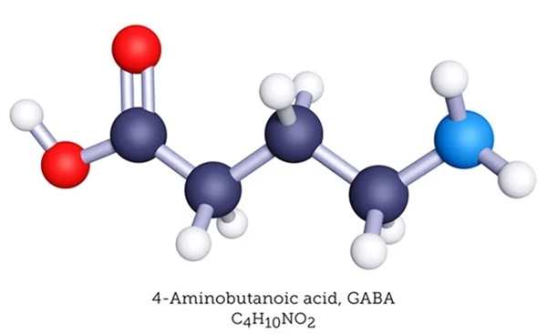 4-Aminobutyric acid