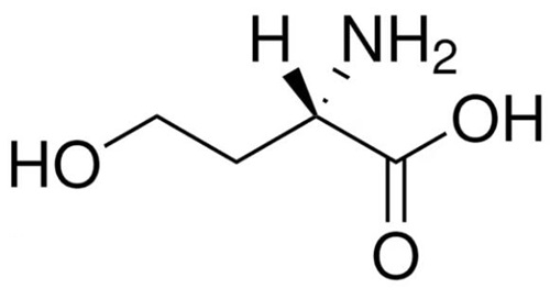 非蛋白氨基酸——L-高丝氨酸