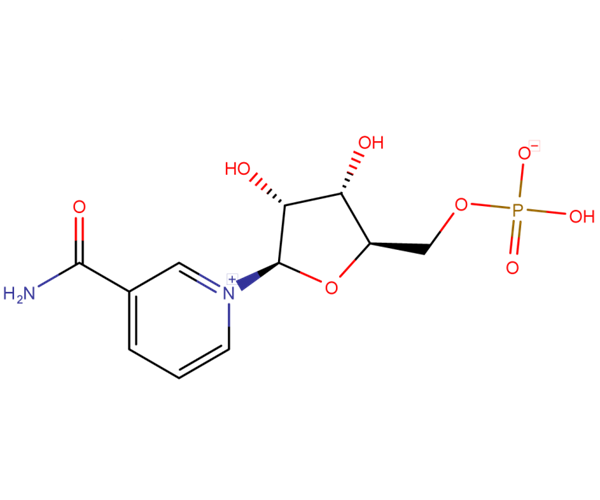 β-Nicotinamide Mononucleotide