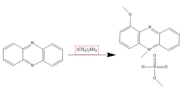 5-甲基吩嗪硫酸甲酯的合成.png