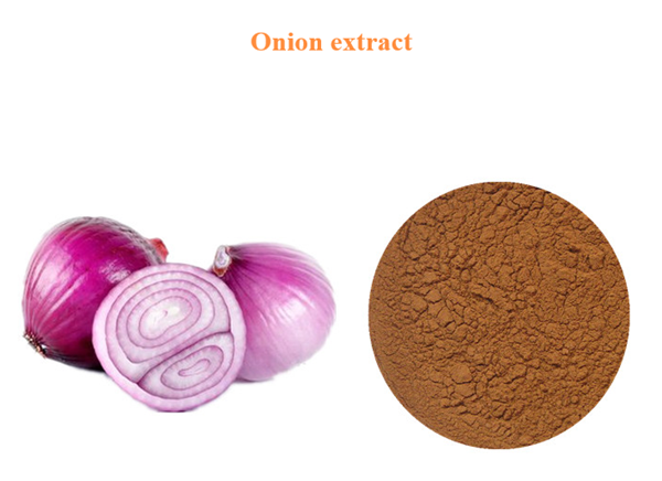 OnionExtract
