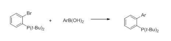 2-(二叔丁基膦)联苯的制备及应用