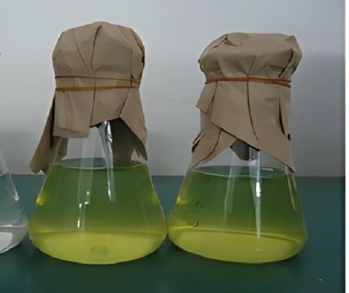 二苯硫醚：一种重要的有机化合物