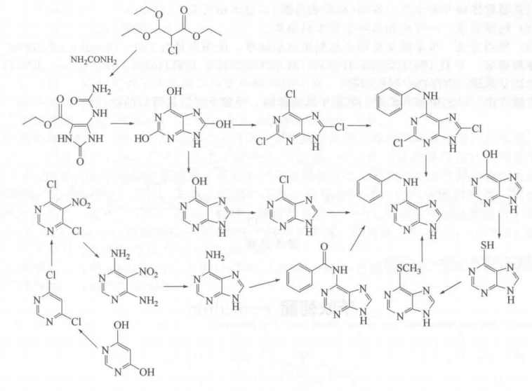 6-苄氨基嘌呤的合成路线