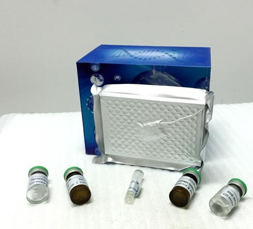 人心钠肽(ANP)ELISA试剂盒的应用