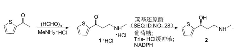 (S)-3-(甲氨基)-1-(2-噻吩基)-1-丙醇的制备