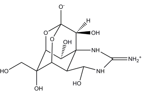 河豚毒素的中毒症状与治疗方法