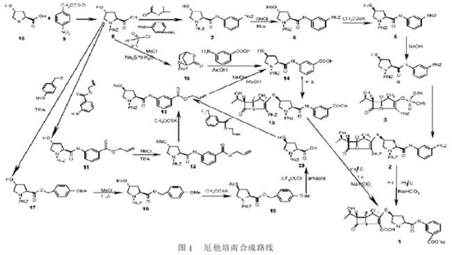 由厄他培南侧链合成厄他培南.jpg