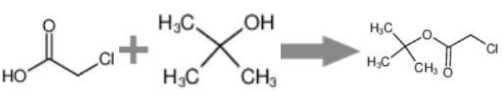 氯乙酸叔丁酯的特性及制备