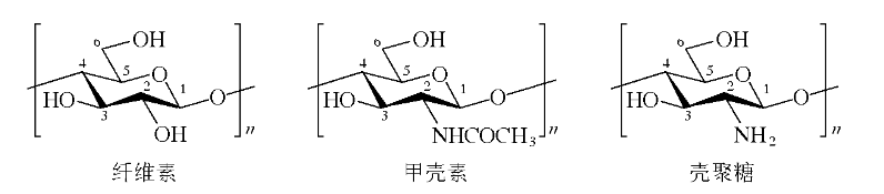 壳聚糖 壳聚糖